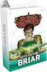 Legend Story Studios Age Chapter Flesh And Bloo...