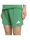 Damen-Shorts Grün