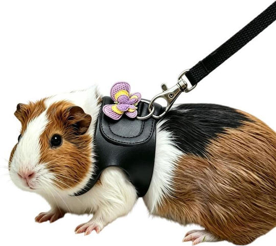 Chinchilla Guinea Pig Strap Leash Outdoor Small Pets Specifications Black S