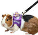 Chinchilla Guinea Pig Strap Leash Outdoor Small Pets Specifications Purple S