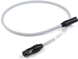 Chord Sarum T XLR-Kabel XLR-Stecker – XLR-Buchs...