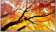 Sharp Public Display 65"