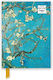 Flame Tree Notebook (Miscellaneous Designs)