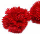 Soap Flower Carnation Red