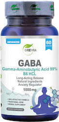 Grewia GABA 1000mg 1000gr 60 Κάψουλες