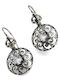 Silver Earrings with Stones
