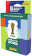 Panini Αυτοκόλλητα FIFA World Cup 2026