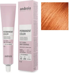 Andreia Professional No 10.4