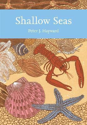 Shallow Seas (collins New Naturalist Library, Book 131) Peter Hayward William Collins