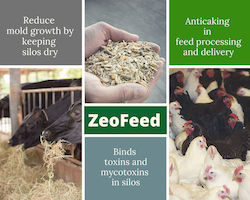 Zeofeed Aktivierter Zeolith Bis 50 Kleine – Außergewöhnlich Feines Pulver Ideal Für Tierfutter 25kg