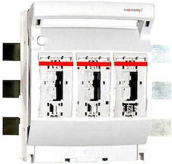 Mersen Industrial Switch