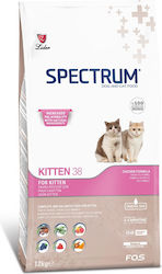Spectrum 12 кг Spectrum 12 кг