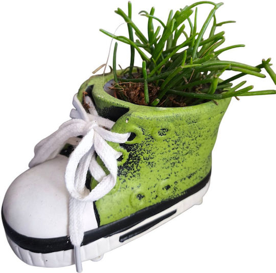 Rhipsalis Ceramic Verde Înălțime 11cm Lățime 12cm Milvaflowers Rhipsalis Ceramic Verde Înălțime 11cm Lățime 12cm Milvaflowers