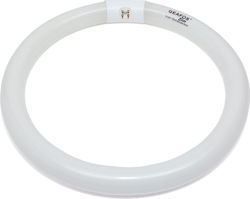 Geafos Elite Fluorescent Lamp Circular T9 32w 6400k Geafos Elite Fluorescent Lamp Circular T9 32w 6400k
