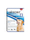 Infront Antiparasitisch Hundehalsband 65cm