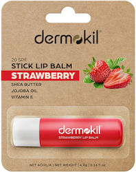 Dermokil Lippenbalsam Erdbeere 4,8 g Dermokil Lippenbalsam Erdbeere 4,8 g