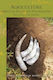 Agriculture, Spiritual-scientific Foundations - Rudolf Steiner Press - Paperback / Softback