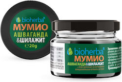 Bioherba Шилажит 600мг 20гр