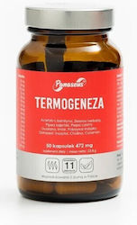 Panaseus Termogeneză 50 Capsule Panaseus Termogeneză 50 Capsule