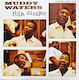 Muddy Waters Folk Singer Vinyl