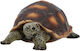Schildkröten Gartendekorationen Figur H5.9 Cm