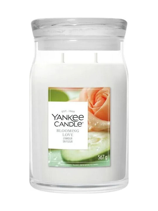 Yankee Candle Lumânare Aromatică la Borcan cu M...