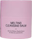 Youth Lab. Cleansing Balm for Face for Oil Control & Antioxidant Action