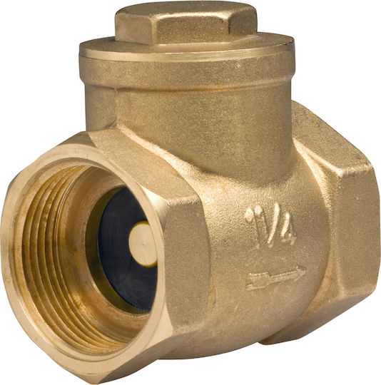 Check Valve Flap Pn16 1 1-4"
