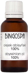 Ulei Abisinian 30 Ml Ulei Abisinian 30 Ml