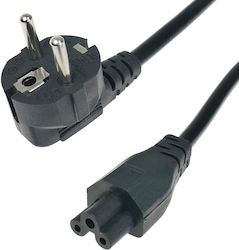 230V Netzkabel Cloverleaf C5 Gekrümmt 3m