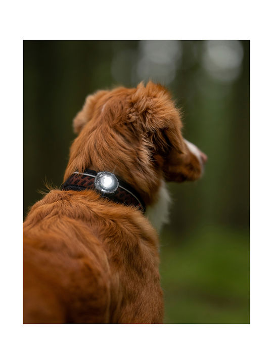 Φωτάκι Orbiloc Dog Dual Black