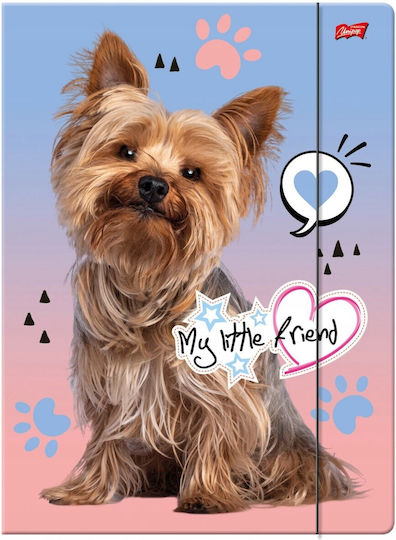A4 Folder Elastic York Dog Bambino