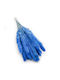 Mini Pampas Grass Blue