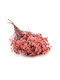 Oxodia Dried Salmon