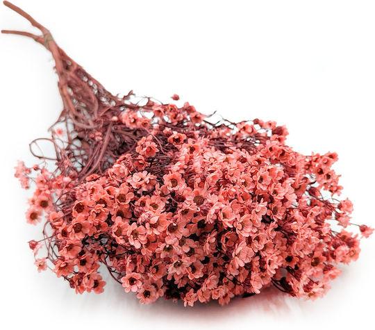 Oxodia Dried Salmon