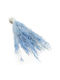 Dried Trembling Grass Briza Segromigno Blue