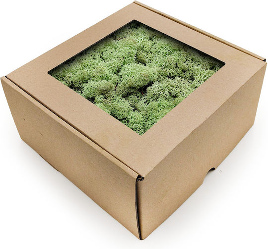 Reindeer Moss Norway Mint Green 500g Net