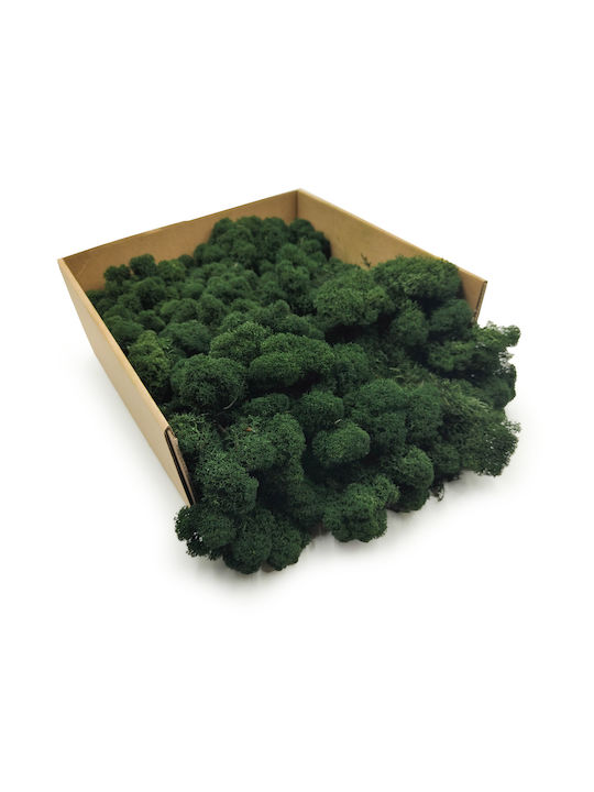 Reindeer Moss Finnish Cleaned Dark Green 500g Net