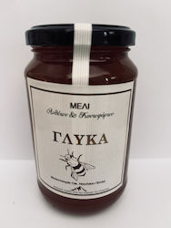Μελι Πευκου 500γρ Οικογενεια Ν Πιπιλα