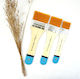 Roza Set of Art Brushes Gesso 3pcs 35mm 50mm 65mm Nylon Hair Primer Acrylics & Texture Paste