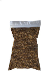Epigasos Αποξηραμένα Aλευροσκούληκα Mealworm Σακουλάκι 100γρ