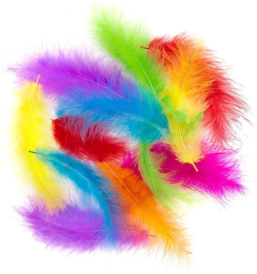 Pene De Curcan Colorate 10-15cm 30 Bucăți