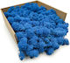 Reindeer Moss Finnish Cleaned Blue 500g Net