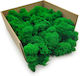 Reindeer Moss Finnish Cleaned Green 250g Net