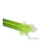 PartyPro Ύφασμα Διακόσμησης Οργάντζα Light Apple