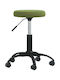 Office & Desk Stools Green 31x31x42cm