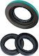 Bearing Worx Garnituri Pentru Diferențial Spate Can-am 400 500 650 800