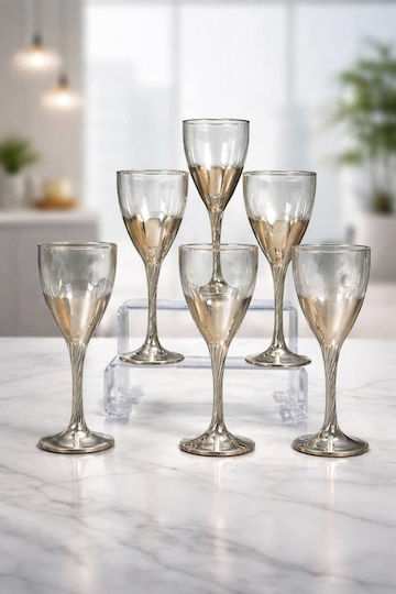 SteweHome Set Brillen Wasser Kelch Kristall Silber 6 Stück
