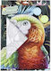 Koopman Set De Pictură 45x31,5cm
