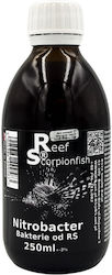 Reef Scorpionfish Nitrobacter 250 Мл Аквариумни Бактерии